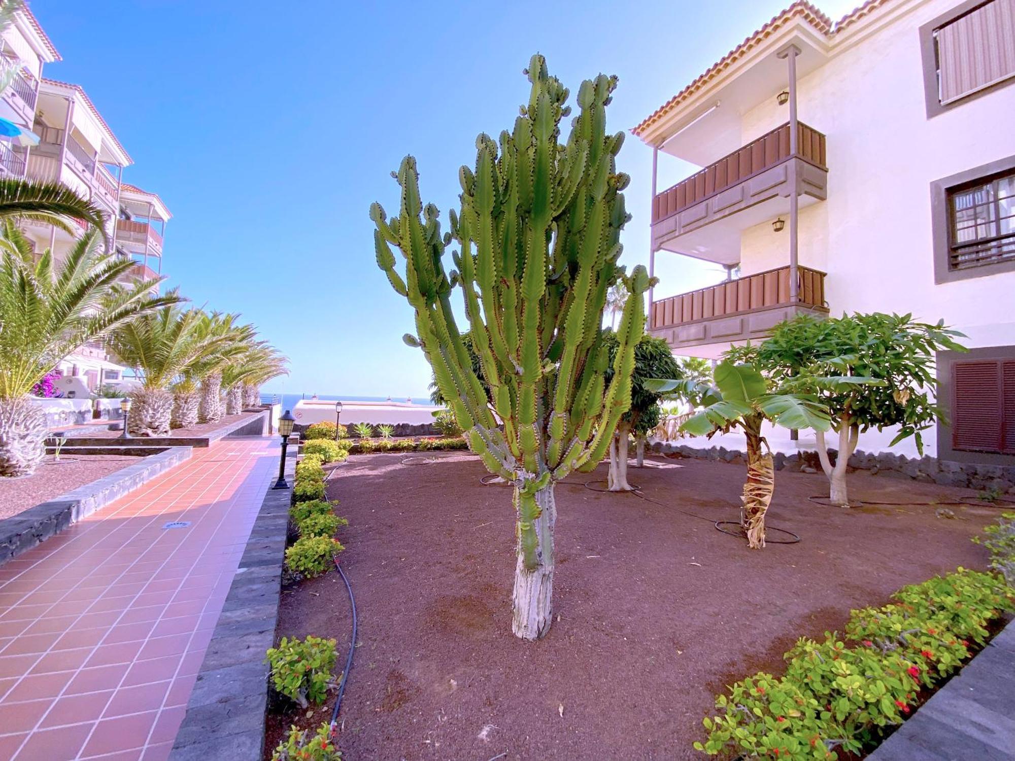 Ferienwohnung Tropicalidays Costa Mar Costa Del Silencio Exterior foto